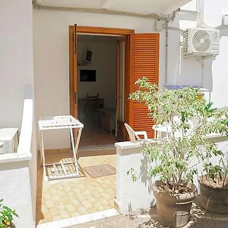 Cesotta 3*